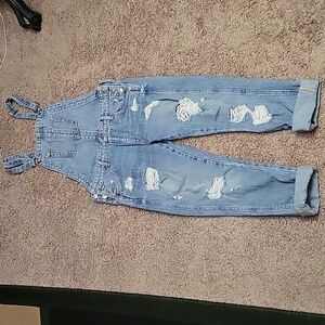 True religion overalls